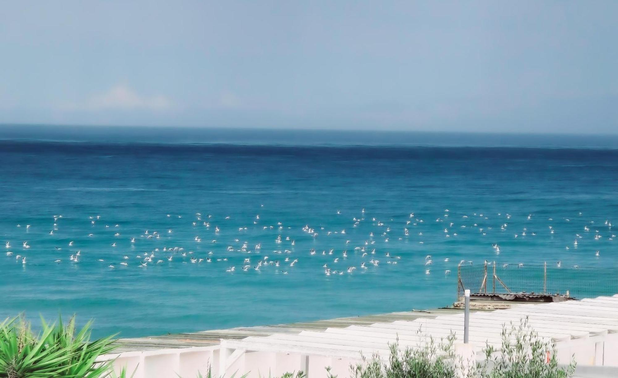 Kale Panzió Giovinazzo Kültér fotó